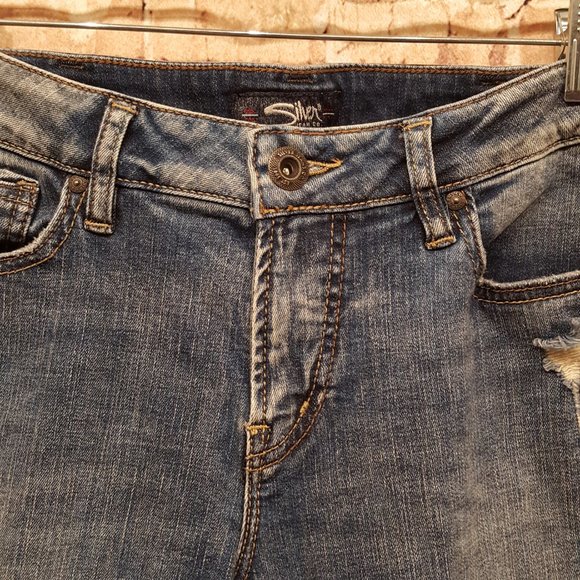Silver Jeans Co. Jeans AIKO Ankle Skinny Size W30/L27 EUC - Picture 9 of 15